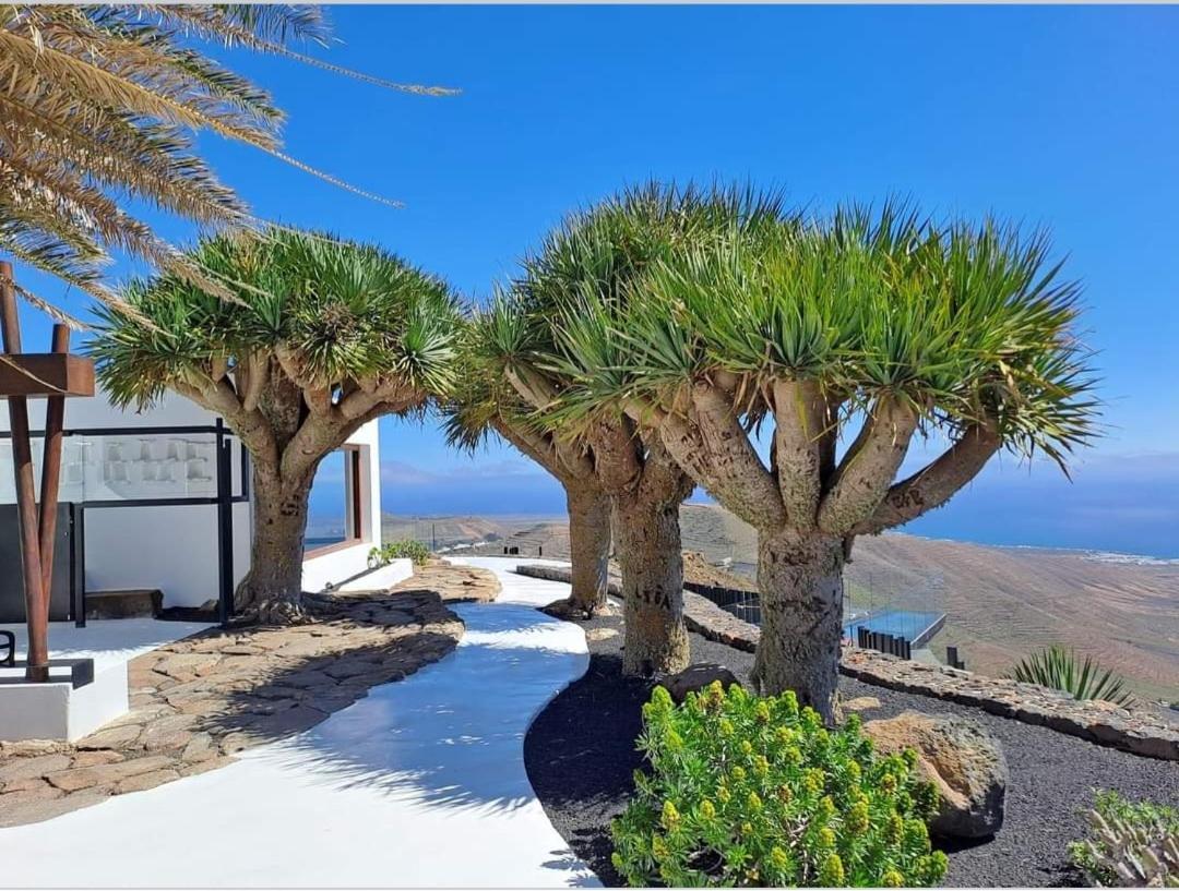 Casa La Tunera, Country House, Haria, Lanzarote 外观 照片